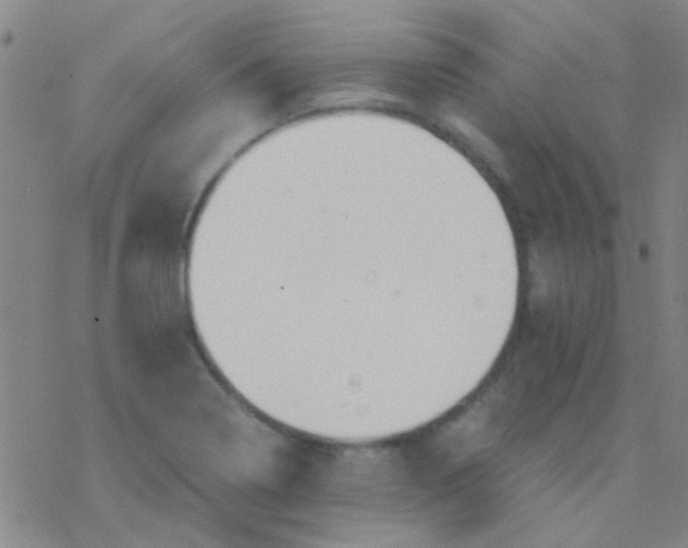 X0000076251322200610261930