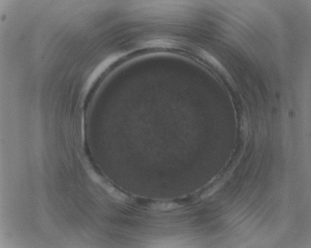 X0000076251323200610261930