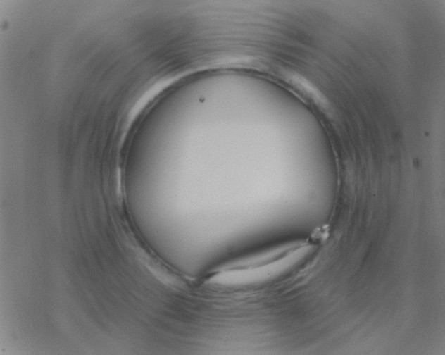 X0000076251324200610261930