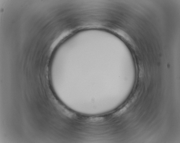 X0000076251325200610261930