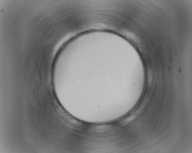 X0000076251326200610261930