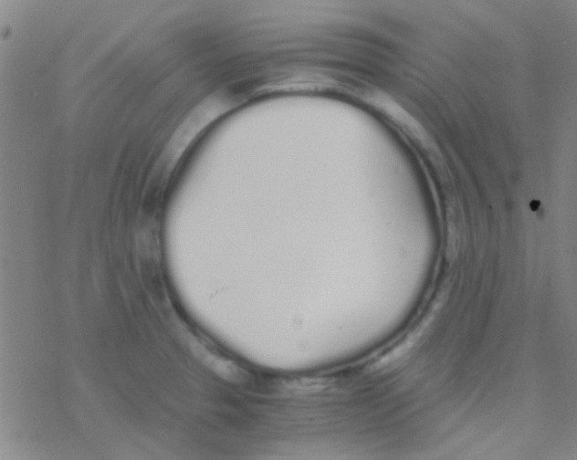 X0000076251329200610261930