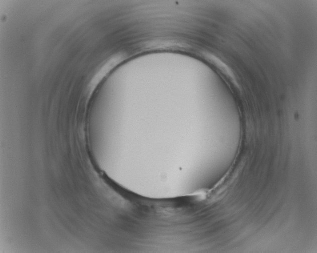 X0000076251330200610261930