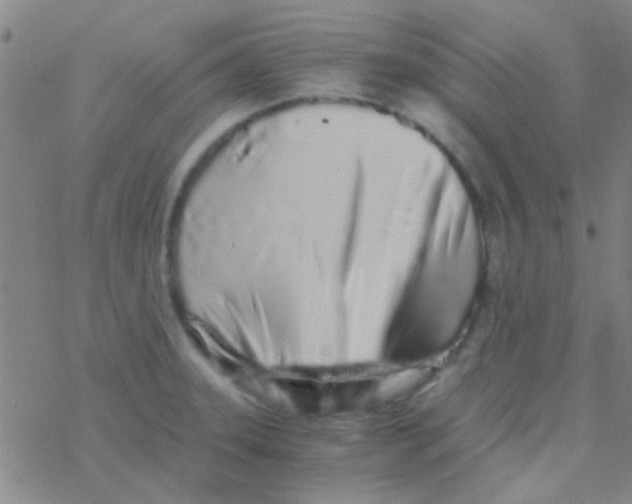 X0000076251331200610261930