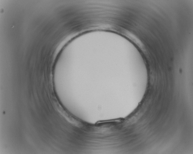 X0000076251332200610261931