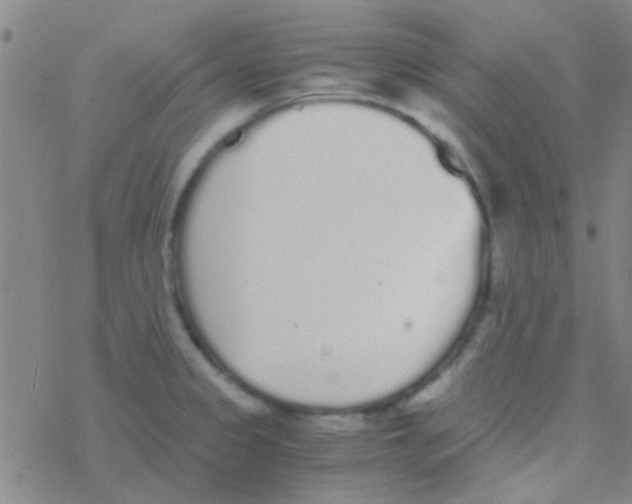 X0000076251333200610261931