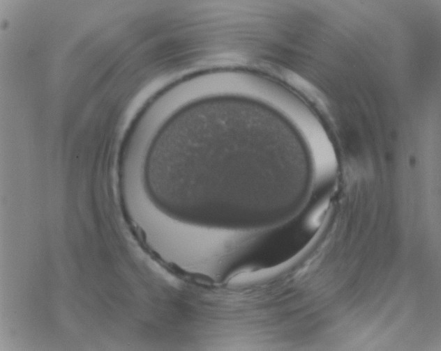 X0000076251334200610261931