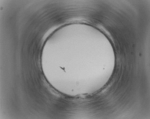 X0000076251336200610261931