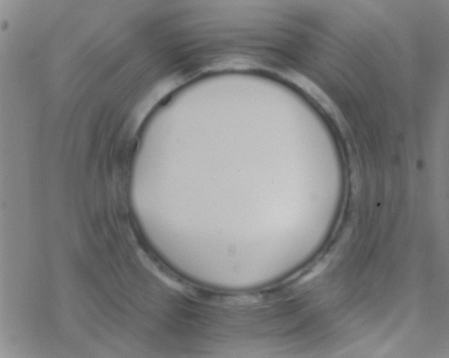 X0000076251337200610261931