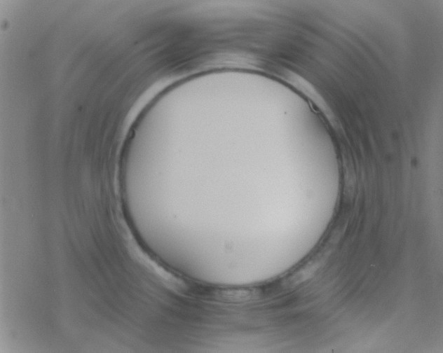 X0000076251339200610261931