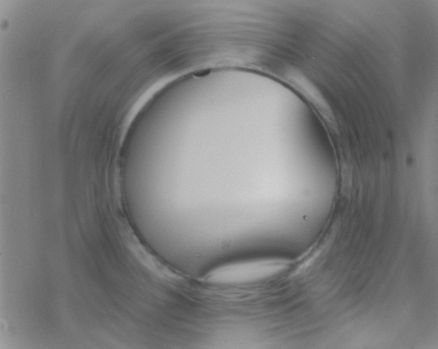 X0000076251340200610261931