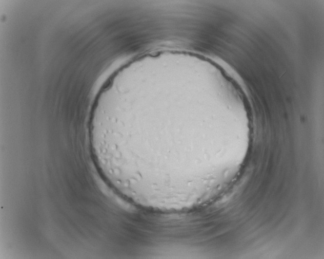 X0000076251341200610261931