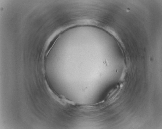 X0000076251342200610261931