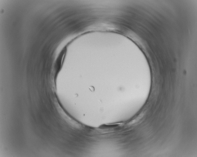 X0000076251344200610261931