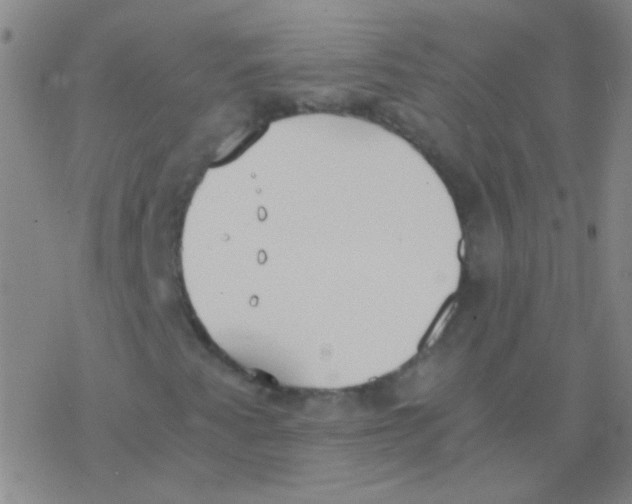 X0000076251345200610261930