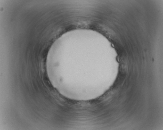 X0000076251346200610261930