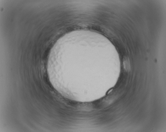 X0000076251347200610261930