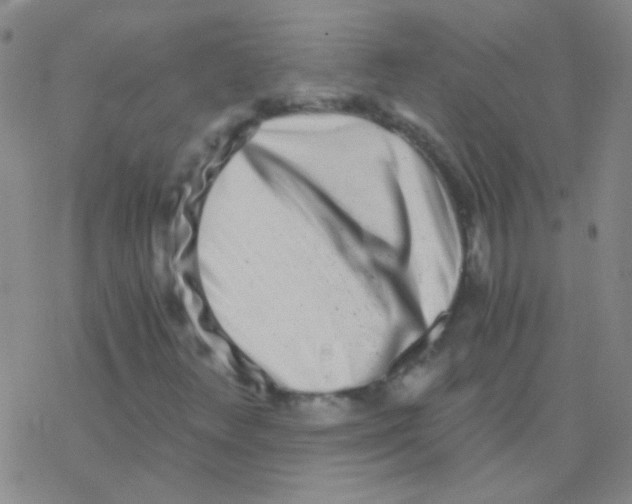 X0000076251348200610261930