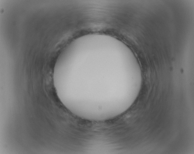 X0000076251349200610261930