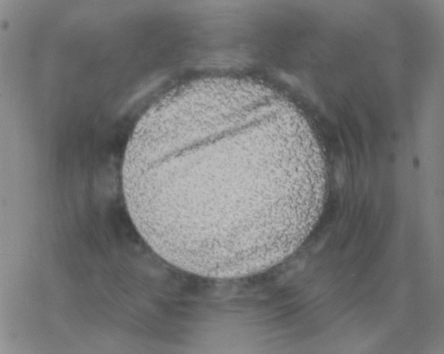 X0000076251350200610261930