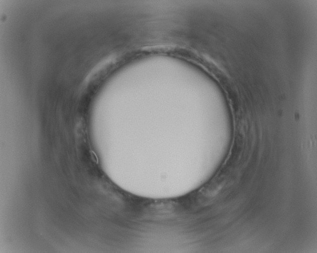 X0000076251351200610261930