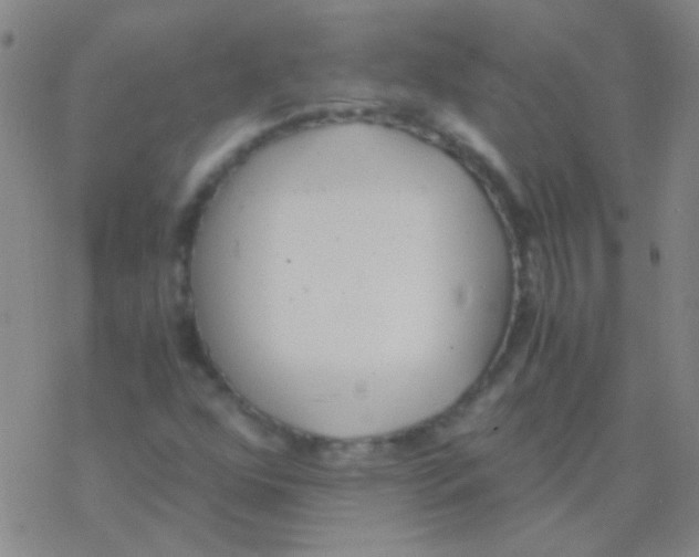 X0000076251352200610261930