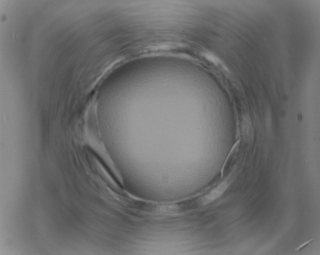 X0000076251353200610261930