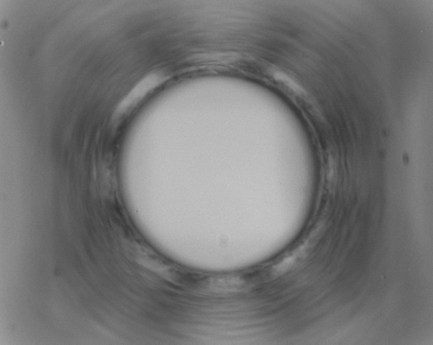 X0000076251354200610261930