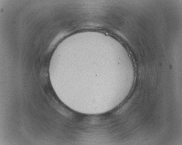 X0000076251355200610261930