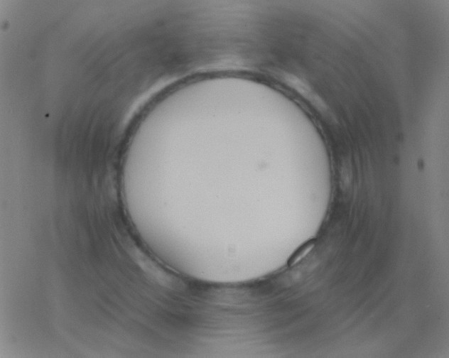 X0000076251356200610261930