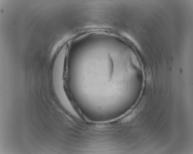 X0000076251357200610261930