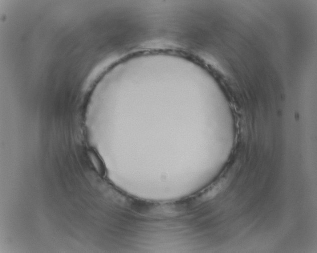 X0000076251358200610261930