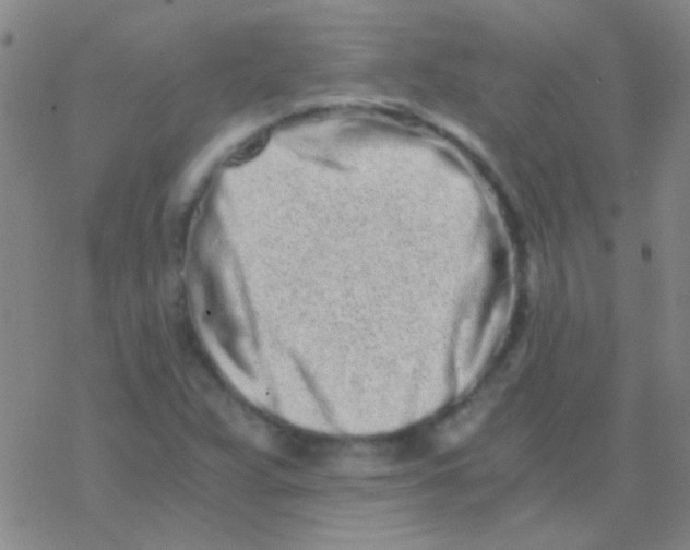 X0000076251359200610261930