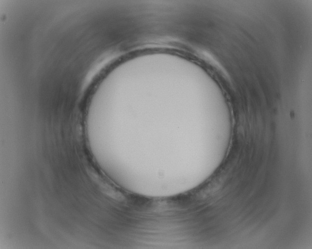 X0000076251360200610261930