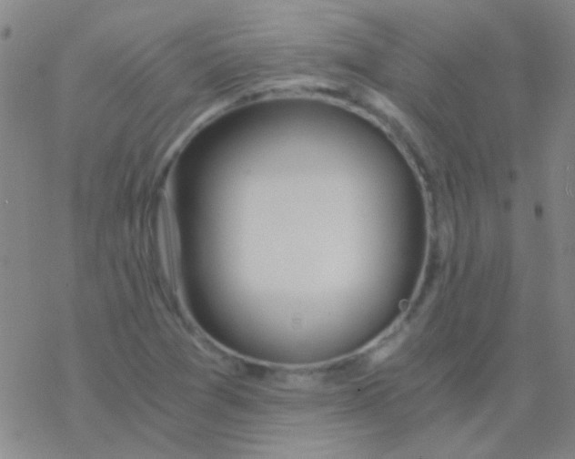 X0000076251361200610261930