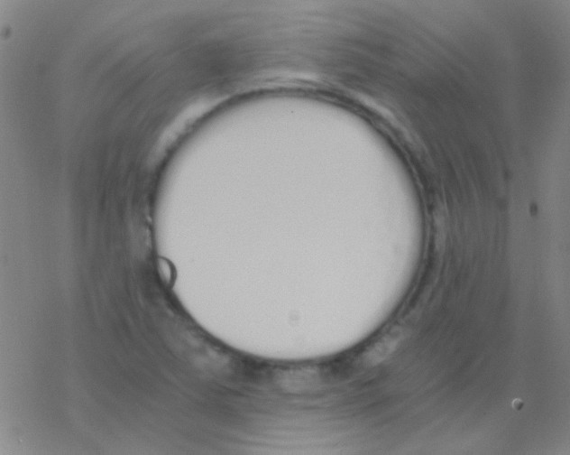 X0000076251363200610261930