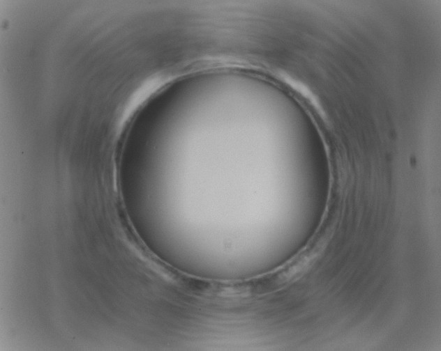 X0000076251365200610261930