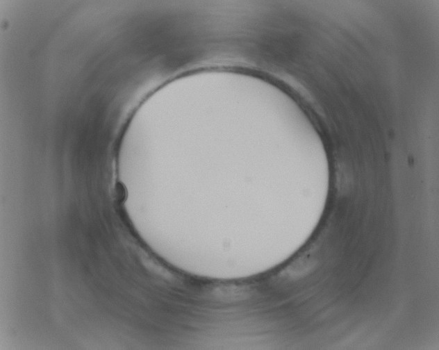 X0000076251366200610261930