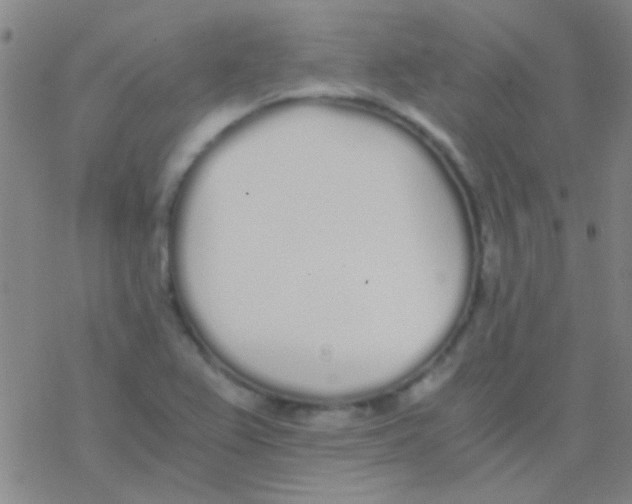 X0000076251367200610261930