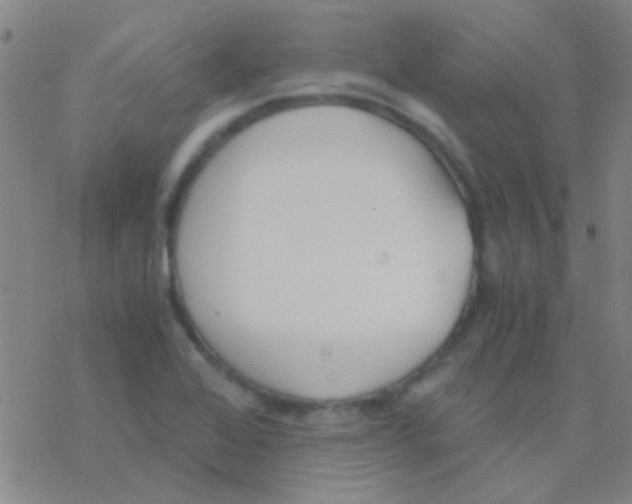 X0000076251368200610261930