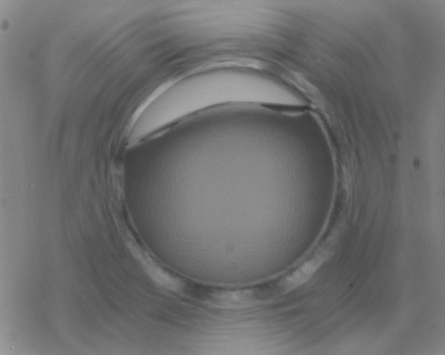 X0000076251369200610261930