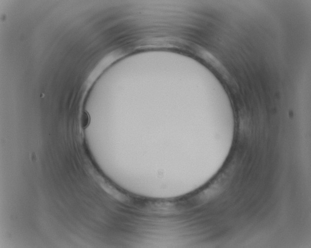 X0000076251370200610261930