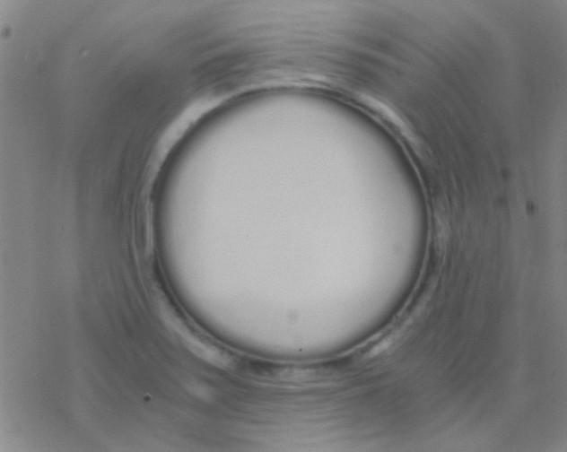 X0000076251371200610261929