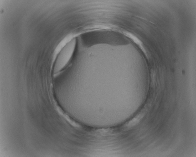 X0000076251373200610261929