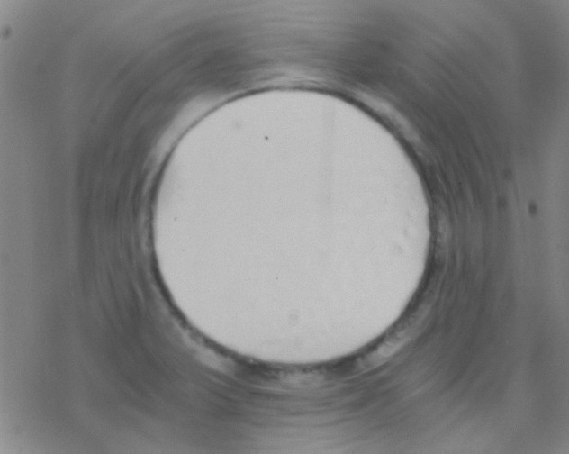 X0000076251375200610261929