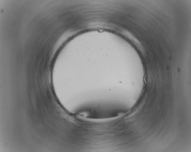 X0000076251376200610261929