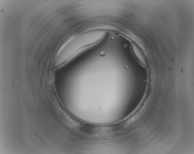 X0000076251377200610261929