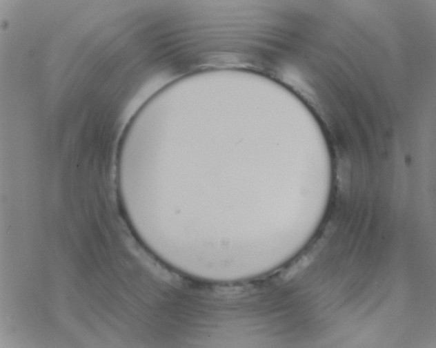 X0000076251378200610261929