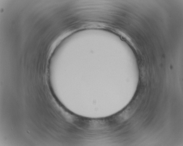 X0000076251379200610261929