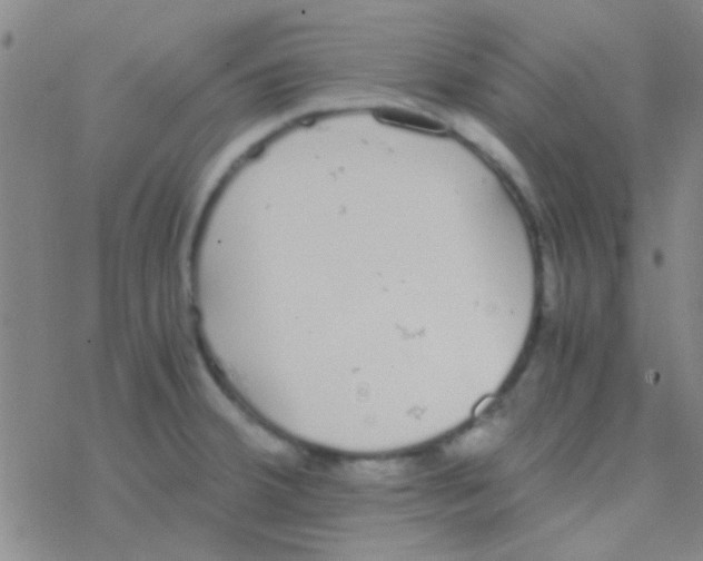 X0000076251380200610261929